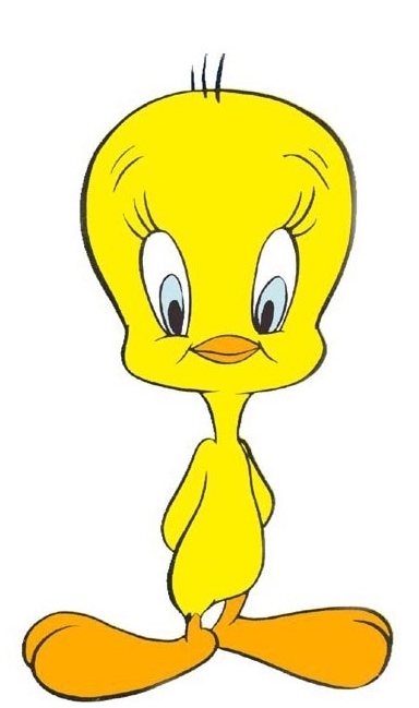 Tweety Bird - Tweety Bird Photo (3547297) - Fanpop