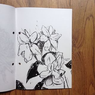 sampaguita on Instagram.