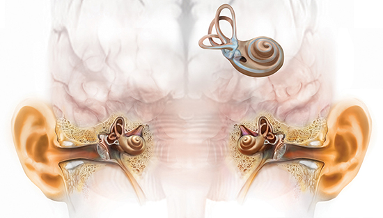 Binaural Hearing: Hearing with Two Ears – Audigy Template 3
