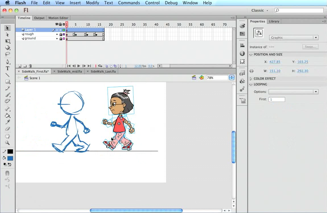 Computer Subject: FLASH ANIMATION