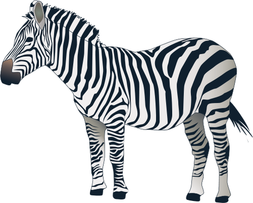 zebra_PNG8964.png