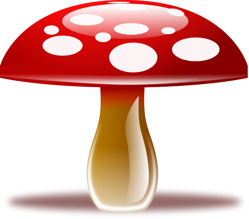 Amanita Muscaria Poisonous And Psychoactive Toadstool Clip Art ...