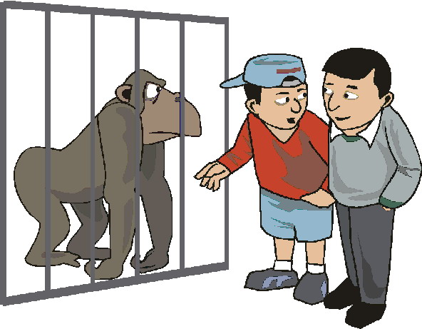 Clip Art - Clip art zoo 834608