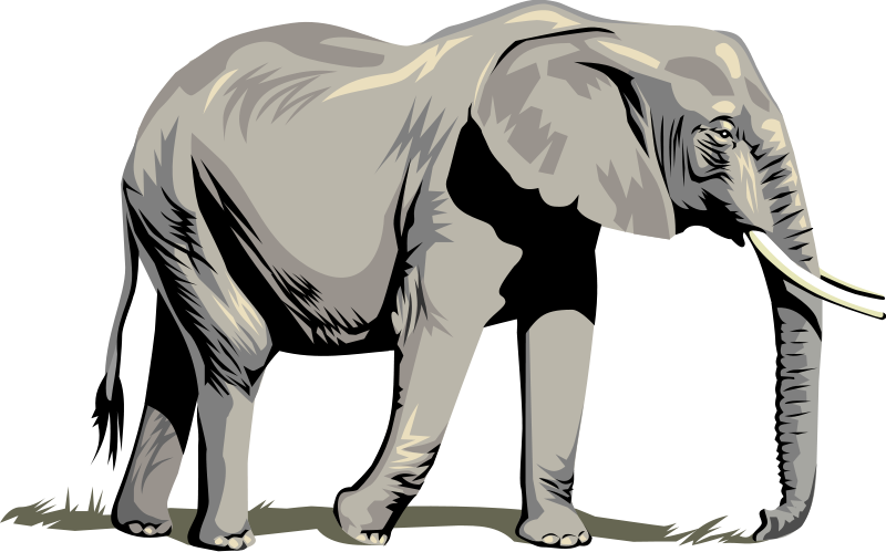 Elephant Free Vector - ClipArt Best - ClipArt Best