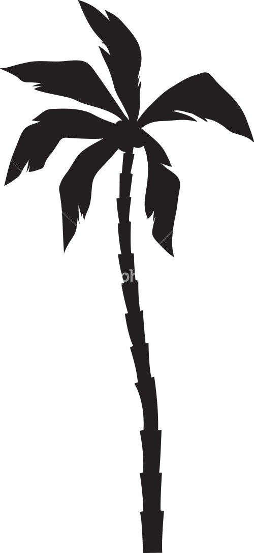 Vector Palm Tree Stock Image