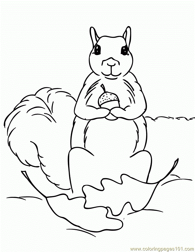 Squirrel Coloring Pages For Children To Print And Color