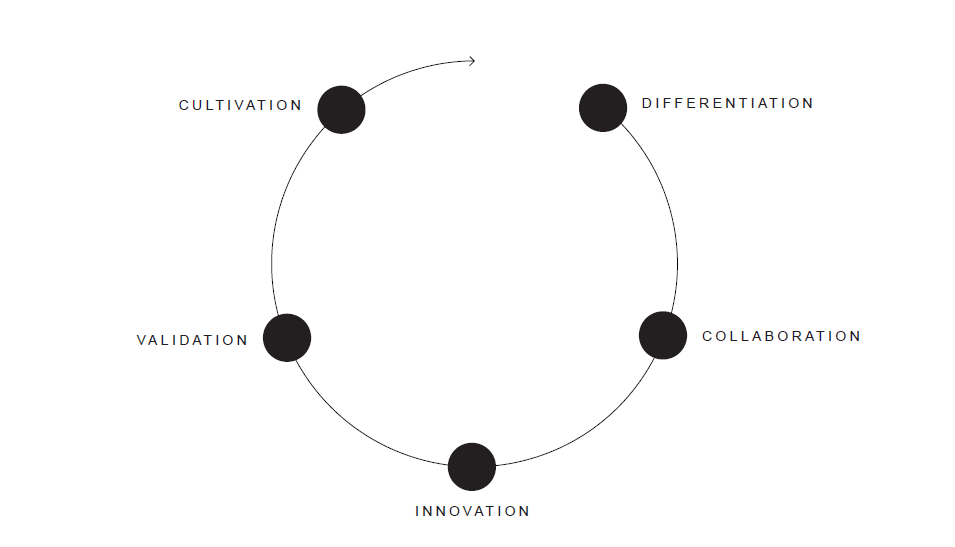 Five Disciplines of Brand-building | Daisy's Blog