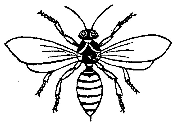 Wasp Clip Art | Clipart Panda - Free Clipart Images