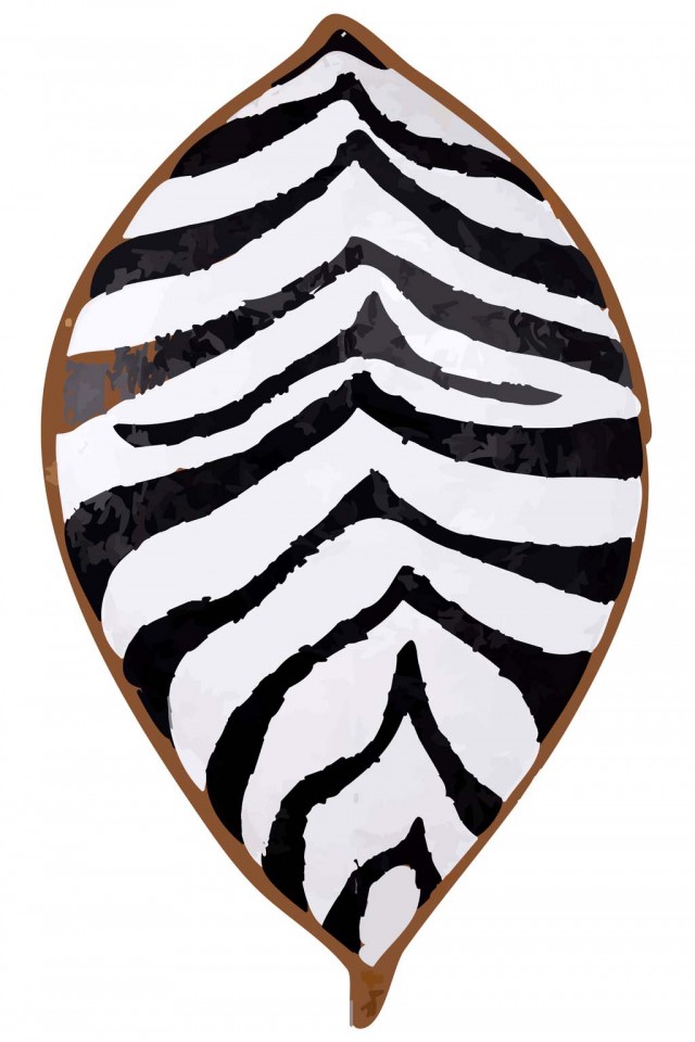 Skin Zebra African Art Wallpaper Free Download Skin Zebra African ...