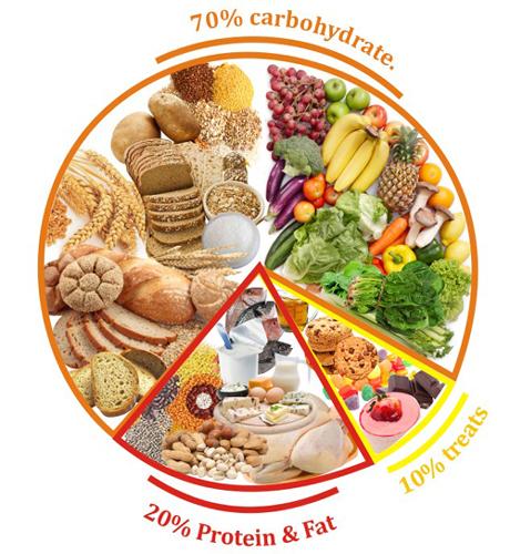 Healthy Balanced Diet & Balance Diet food Chart | Diet Chart in ...