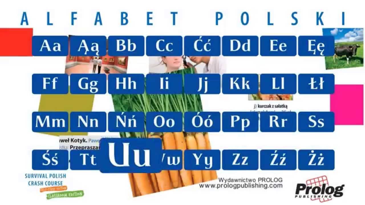 Alfabet polski / Polish Alphabet pronunciation / PROLOG Publishing ...