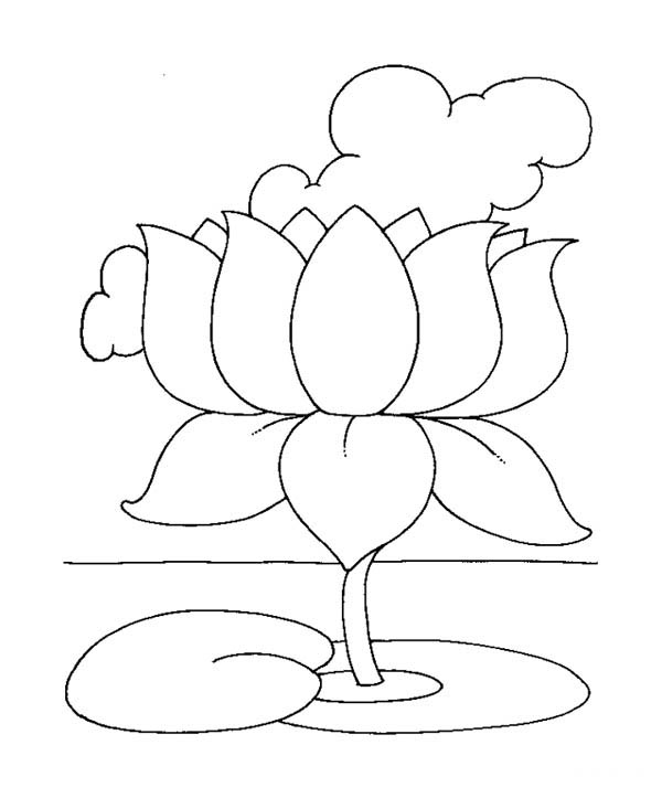 Lotus Flower is a Symbol of | Img Need