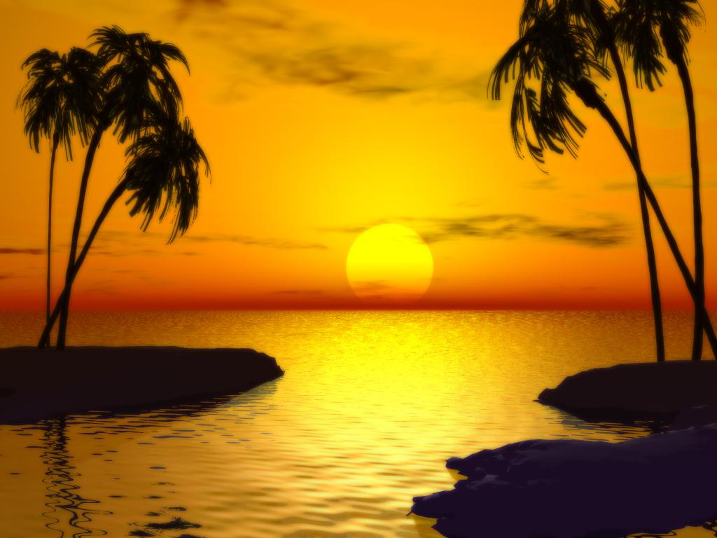 sunset.jpg
