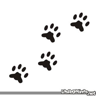 Vinilos decorativos, stickers, pegatinas : animales / perros ...