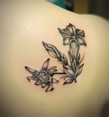 Black ART/Edelweiss & Enzian