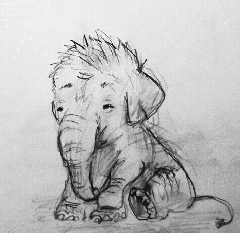 elephant drawing | Drawing and tattoo ideas | Pinterest