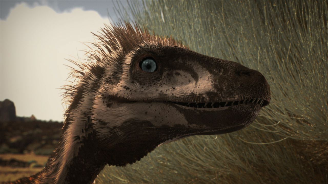Dinosaurs | Discovery Kids