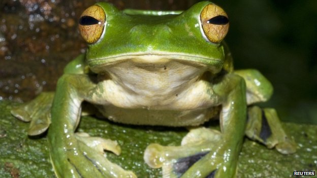30 Day Entrepreneur challenge - Eat That Frog | www.Chris-Smith.me