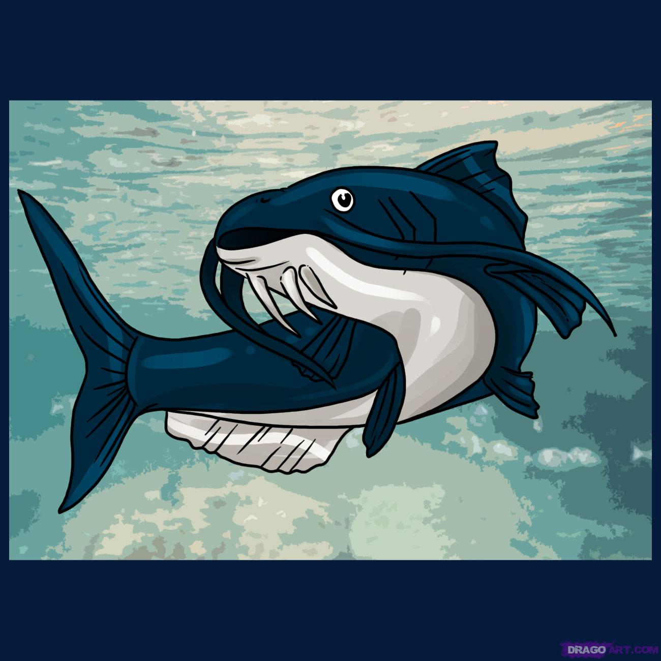 How to Draw a Catfish, Step by Step, Fish, Animals, FREE Online ...