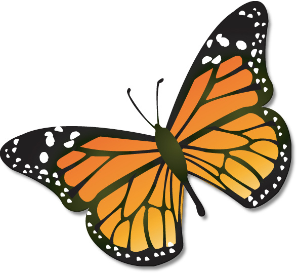 Monarch Butterfly Program | Traverse Area District Library