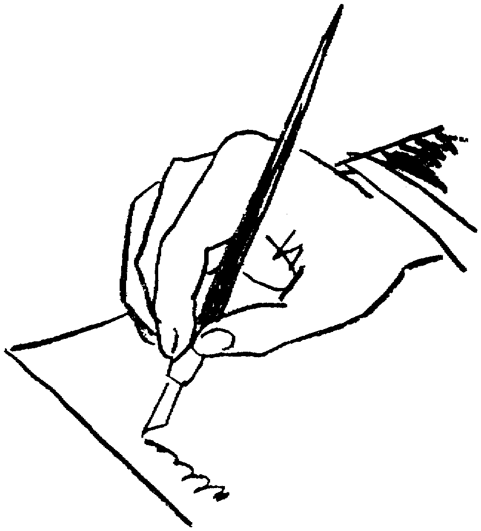 Newspaper Writer