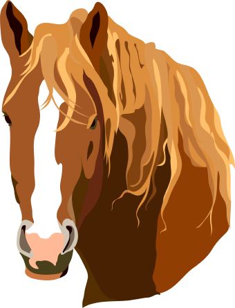Cartoon Horse Head Clip Art | lol-rofl.com