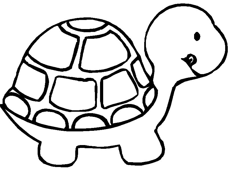 Turtle Coloring Picture