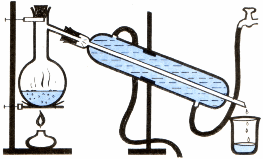 CBSE Papers, Questions, Answers, MCQ ...: May 2012