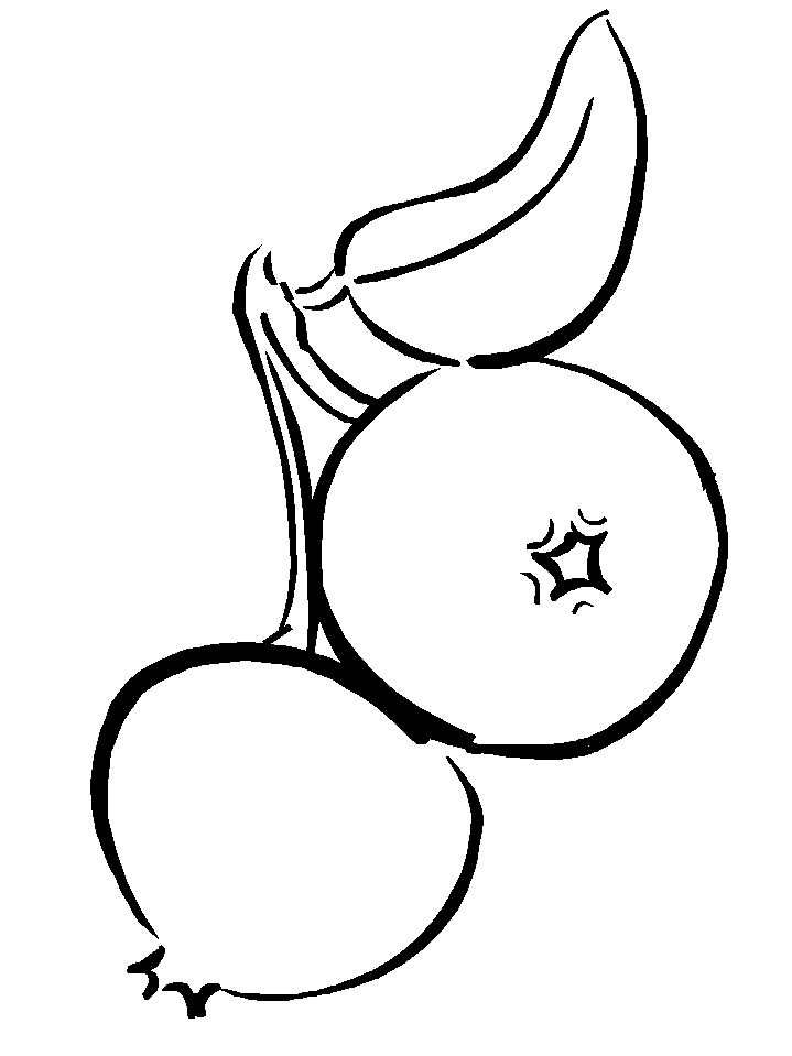 Blueberry Fruit Coloring Page | HelloColoring.com | Coloring Pages