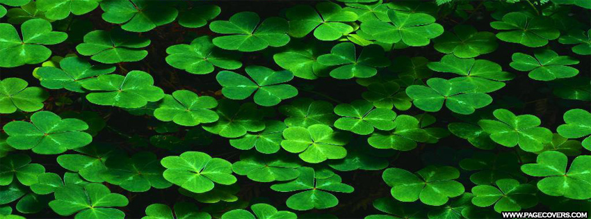 Shamrocks Facebook Cover - PageCovers.com