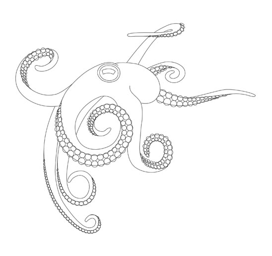 Ben Hopson » Octopus Graphic