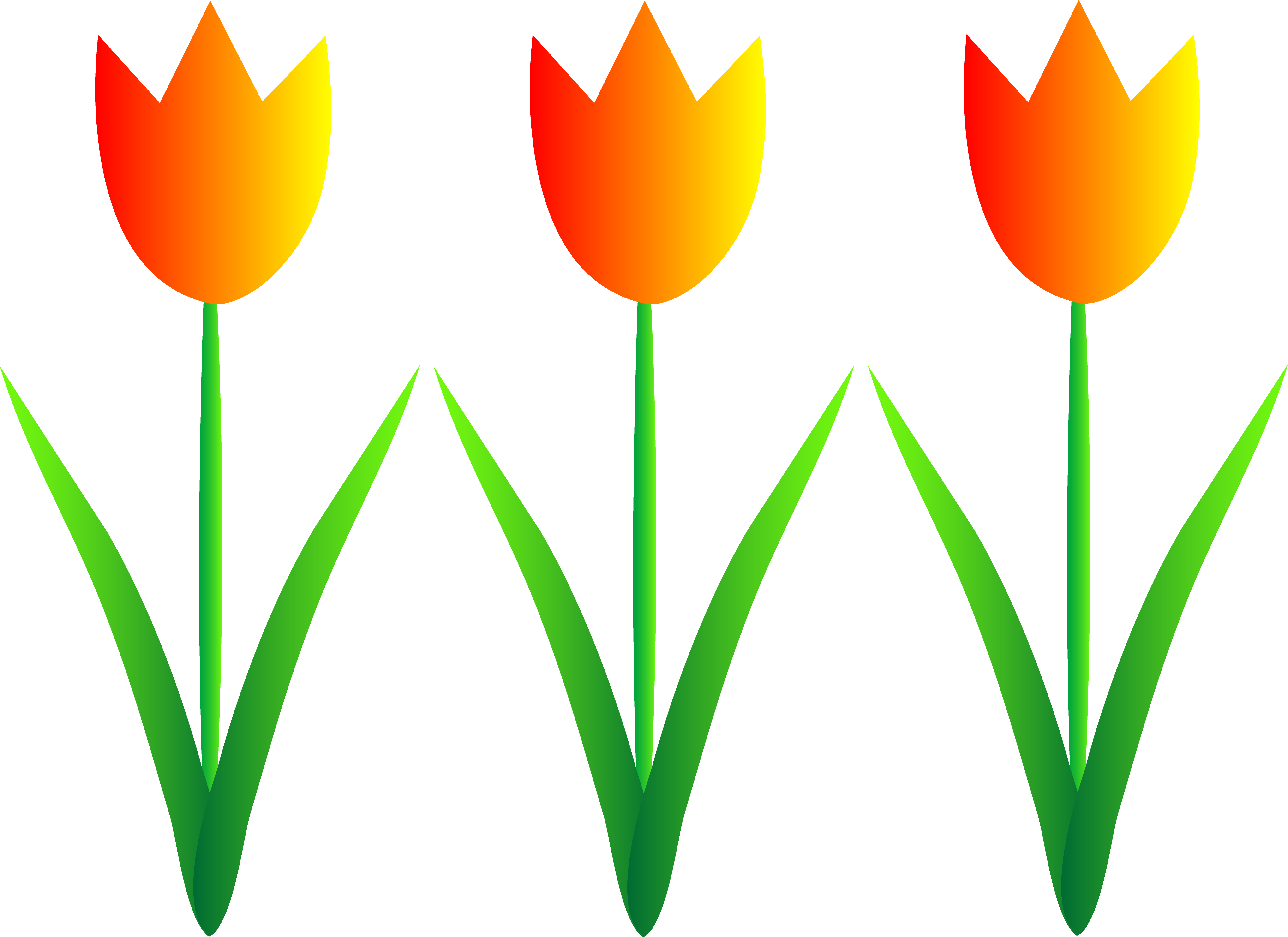 Tulips Clipart Border - Gallery