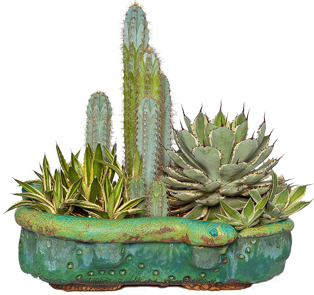 Custom Specialty Pottery and Vases for Cactus and Succulents ...