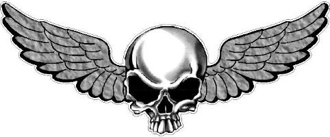 Skull Wings - Ride Like A Pro, Inc.