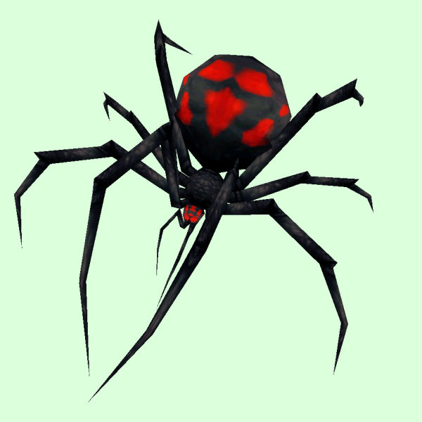 Petopia: Black Widow Spider
