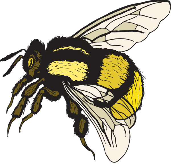 Bumble Bee Clip Art - ClipArt Best