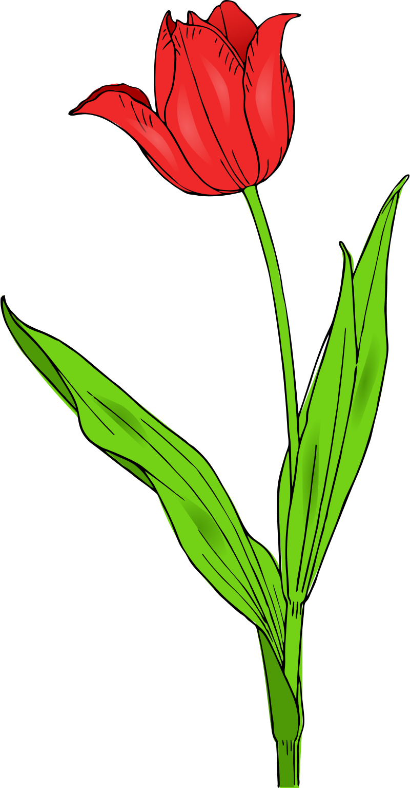 Spring Flowers Clipart - ClipArt Best