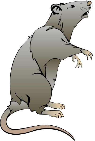 Cute Rat Clipart | Clipart Panda - Free Clipart Images