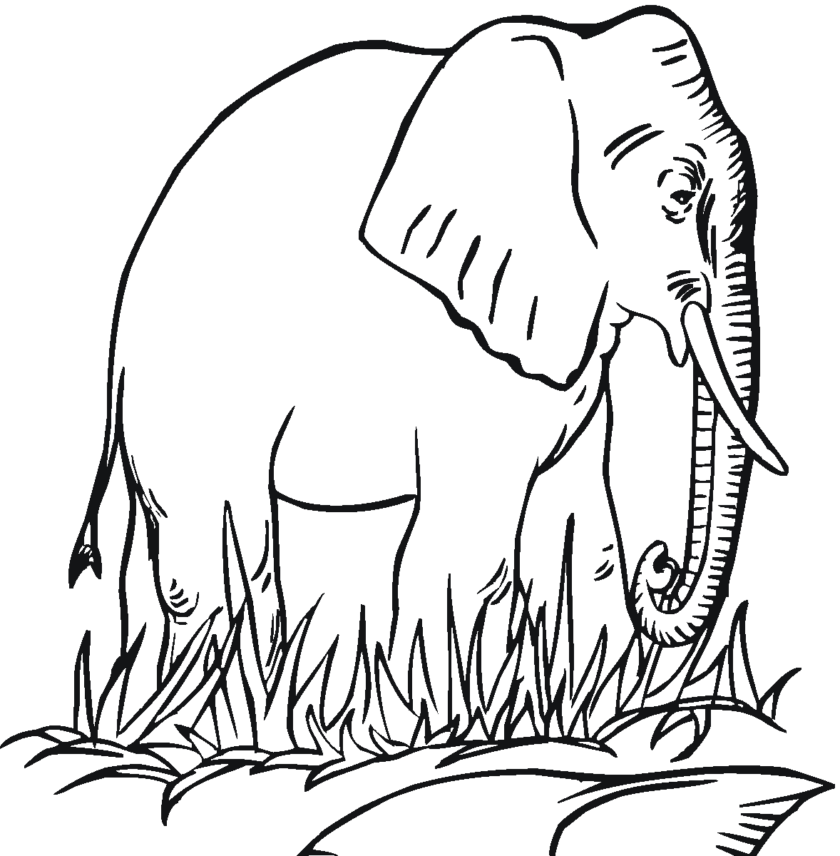 Free Printable Elephant Coloring Pages For Kids - ClipArt Best ...
