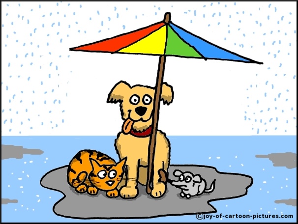 its raining cats and dogs,raining cats and dogs,rain cartoon