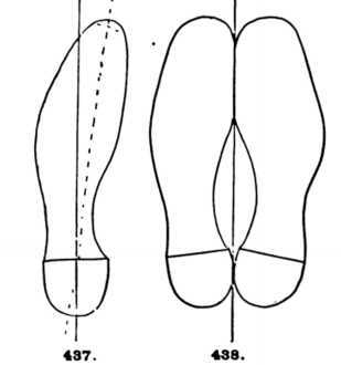 Shoe Sole Outline Images & Pictures - Becuo