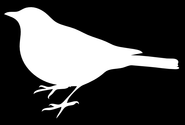 White Bird Black Back Clip art - Black & White - Download vector ...