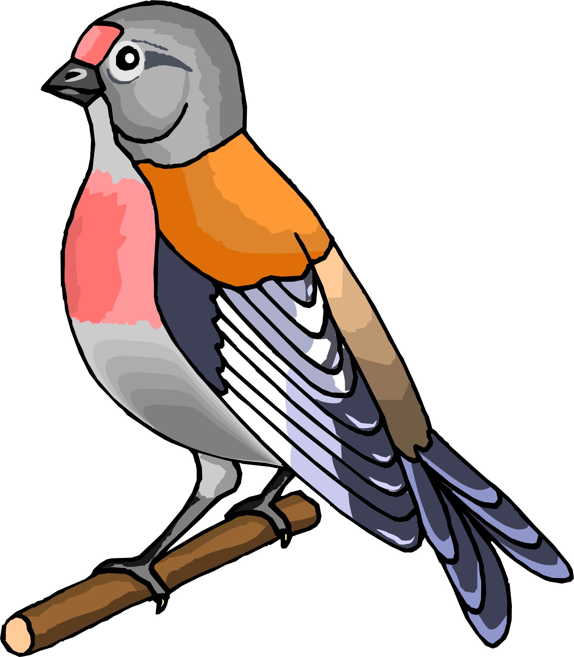 Cartoon Pictures Of Birds - ClipArt Best