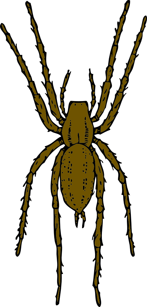 Brown Spider Clipart | i2Clipart - Royalty Free Public Domain Clipart