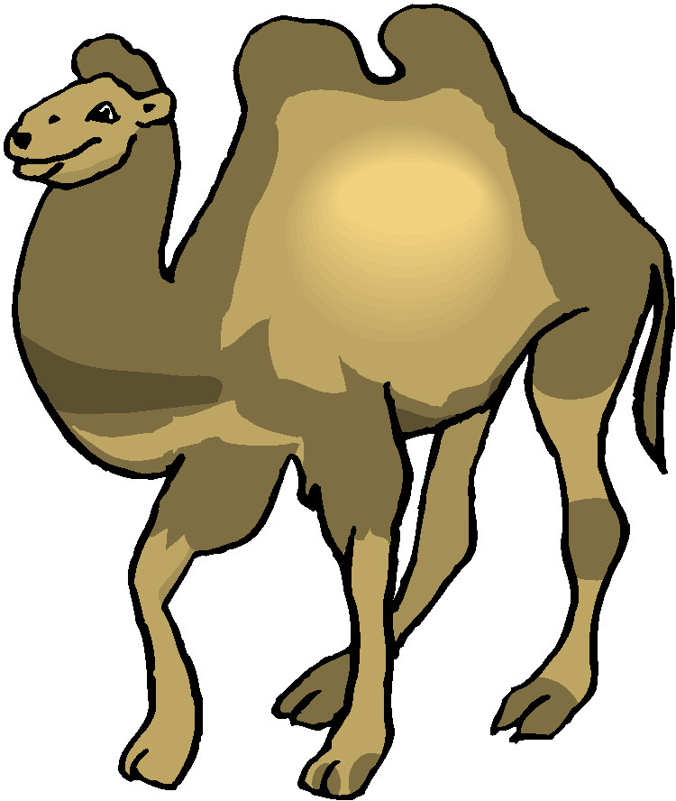 Animal graphics camel 581093 - Animal Image