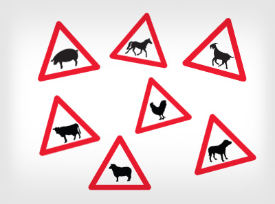 Road Safety for Children| Road Sign Sets | Farm Animal Set