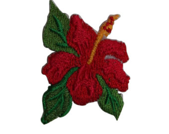 Popular items for hibiscus plant on Etsy