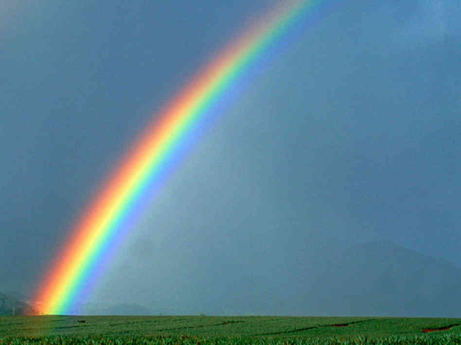 In the Mystical World of a Rainbow - Scientia