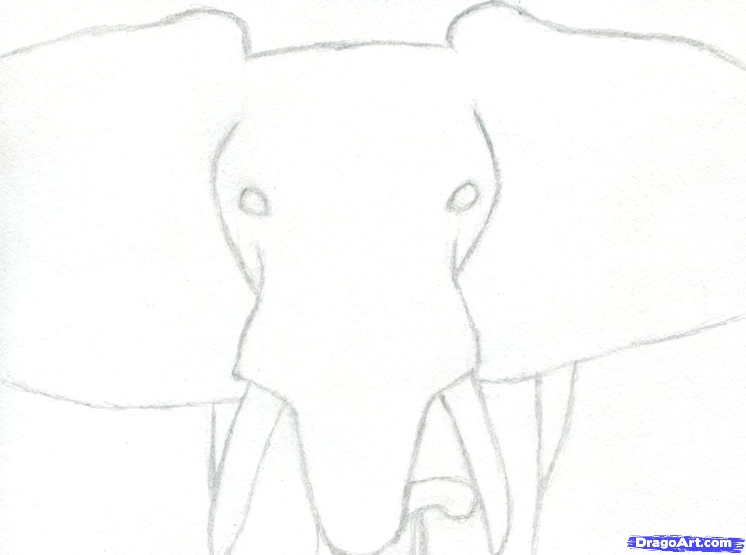 How to Draw an Elephant Head, African Elephant, Step by Step ...