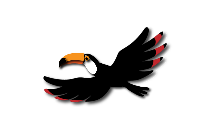 Toucan Bird Animation | Moobaa Interactive Group Toucan Bird ...